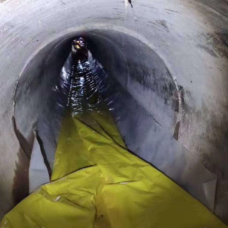 樟木头镇管道光固化修复