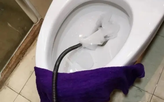 樟木头镇马桶疏通